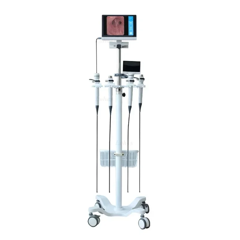 LHBF Por HD Video  Flexible Br - Medical Lab Video incelemesi ve fiyatı
